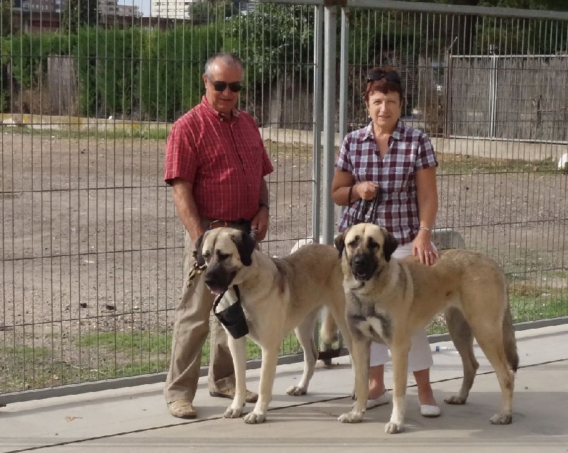 CH. Hathor kangal (Sans Affixe)