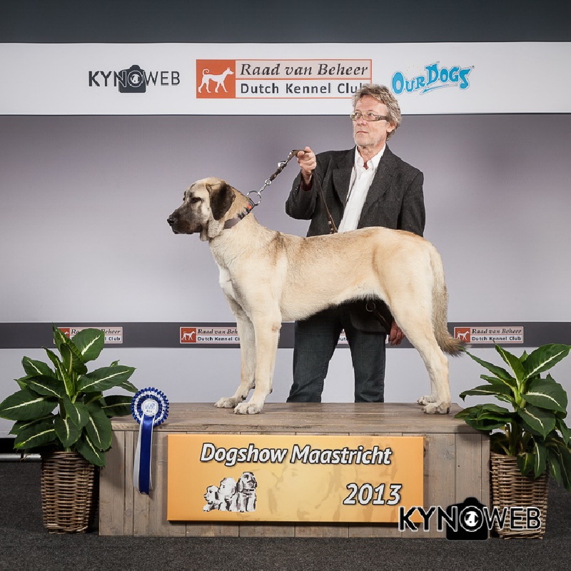 CH. Hathor kangal (Sans Affixe)